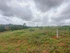 Land for Sale Weniwalkola, Kahathuduwa. ( ID : WNWL001 )