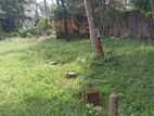 Land for Sale with A House (behind the Kelaniya Campus)