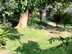 Land for Sale with A Vintage House in Matale