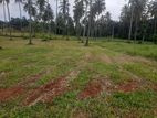 Land for Sale with All the Facilities in Narammala