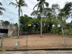 Land for Sale with Easy Access (1.5km) to Colombo-Negombo Main Road