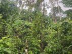Land For Sale With House