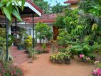 Land For Sale With House in Chilaw Town