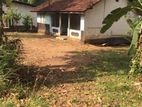 Land for Sale with House in Dompe