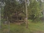 Land for Sale with House in Pasyala