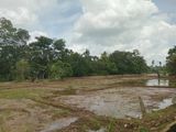 Land for Sale with House in Thalawathugoda