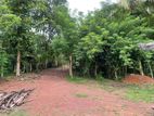 Land For Sale With House | Minuwangoda 125 Perches