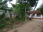 Land for Sale with House - Seeduwa