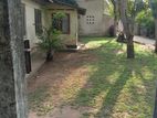 Land For Sale With old House Bopitiya Kandana