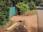 Land For Sale With Old House - Anuradhapura