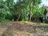 Land for Sale Within Kaluthara City Limits