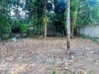Land for Sale Yakkala