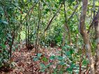 Land for Sale Yatiyana Hakmana