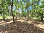 Land for Sale – Yatiyana, Katunayake.