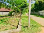 Land for Sale in Thissamaharama