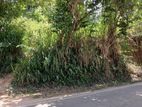 Land for sale,Damanwara