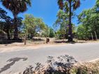 Land for Sale Kaluwanchikudy Batticaloa