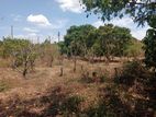 Land for Sale Kinniya