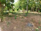 Land for Sale in Anuradhapura