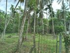 Land for Salle in Yakkala, Gampaha