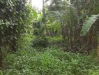 Land for Sale Kadawatha