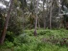 Land for Sale in Mahawatta, Pamunugama