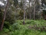 Land for Sale in Mahawatta, Pamunugama