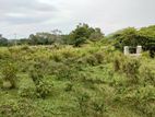 Land for Sale Hambegamuwa