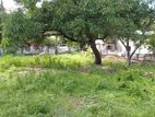 Land for Sale in Trinco