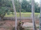 land for sell hikkaduwa