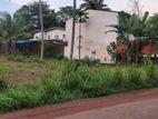 Land for Sale in Ganemulla Bollatha