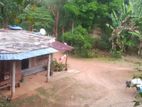 Land for Sale in Mahiyangana Mapakadawewa