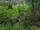 Land for Sale Seeduwa