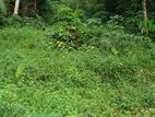 Land for Sale Seeduwa