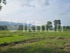 Land For Slae in Dambulla - දඹුල්ලෙන් ඉඩමක් විකිණීමට