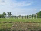Land For Slae in Dambulla - දඹුල්ලෙන් ඉඩමක් විකිණීමට