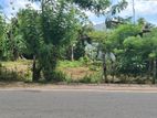 Land for Sale in Panadura