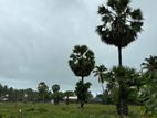 Land for Sale Kilinochi