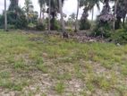 Land for Sale - Trincomalee