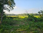 Land for Sale in Kadawatha Town