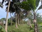Land for Sale in Vavuniya