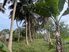 Land for Sale in Vavuniya