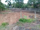 Land for urgent sale Near Negombo city