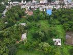 Land for Warehouse or Business in Kabithigollawa