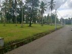 Land forsale in Walihinda
