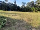 Land Fot Sale Dikwella