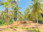 Land Fot Sale in Thalagala