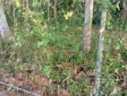 LAND FOUR SALE ANGODA