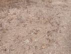 Land four sale Angoda