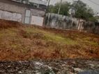 Land four sale Borella